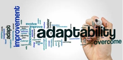 What is adaptability & why is it relevant in today’s working environment?